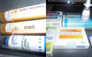 Homeopathy/Natural Care for Chronic Rhinitis
