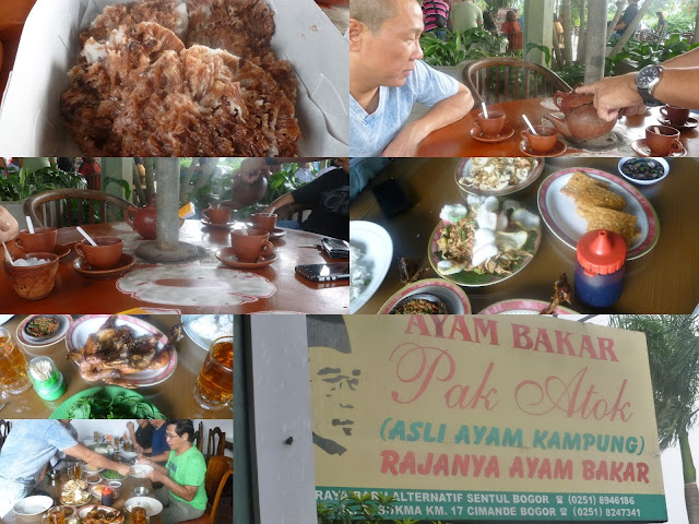 HOW TO AVOID HEART DISEASE,DIABETES AND CANCER IN INDONESIA OR AMONG AMERICAN INDIANS