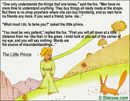 YOU BECOME RESPONSIBLE FOR WHAT YOU HAVE TAMED.. THE WORDS OF ANTOINE ST EXUPERY