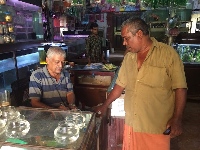 GREAT AMBASSADORS FOR KERALA : VIJAYAN AND MOHANA THE TEA SHOP OWNERS OF COCHIN INDIA