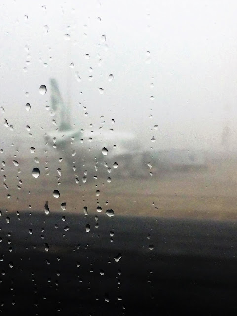 WHY IS QATAR AIRWAYS THE BEST?