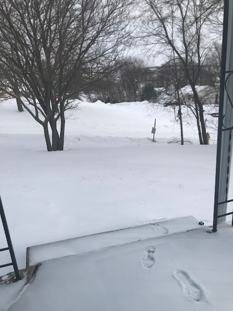 LOVE IN THE TIME OF THE SNOW STORM: AN ENDOCRINOLOGIST AMONG THE OMAHA