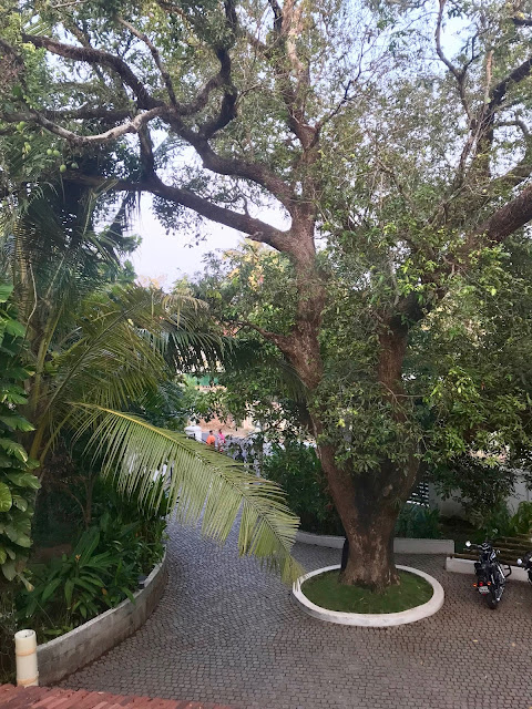 FORT COCHIN A PLACE TO STAY PUT WHEN YOU VISIT KERALA INDIA