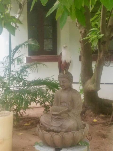 IN THIS LAND OF SPIRITUALITY A SPECIAL SPIRITUAL VISITOR AT BRISTOWS BUNGALOW AT FORT COCHIN