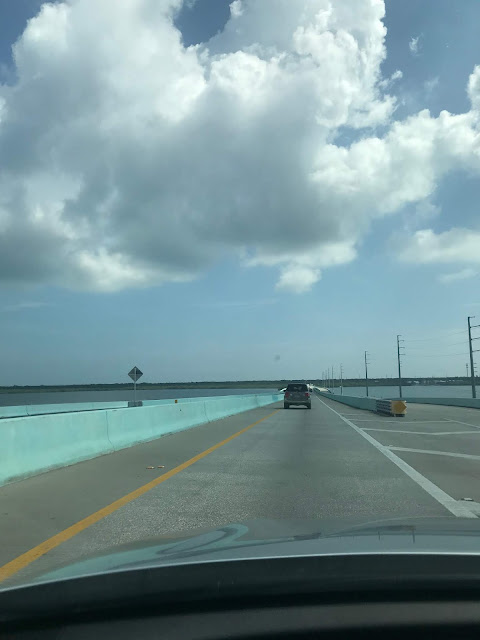 A VISIT TO KEY LARGO SO CLOSE TO MIAMI AND SO FAR AWAY FROM ITS UGLINESS