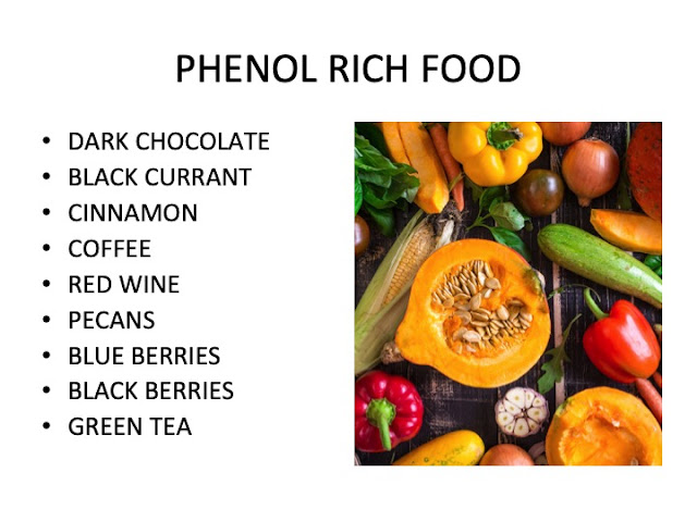 MY POLYPHENOL DINNER IN MIAMI 14 JANUARY 2019