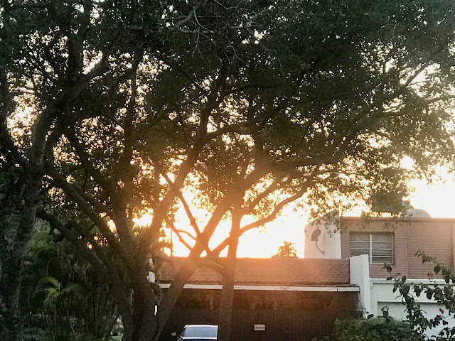 A WEEKEND IN MIAMI TO REST AFTER A ROUND THE WORLD TRIP