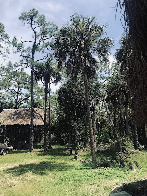 DAY IN THE LIFE OF A PHYSICIAN ANTHROPOLOGIST