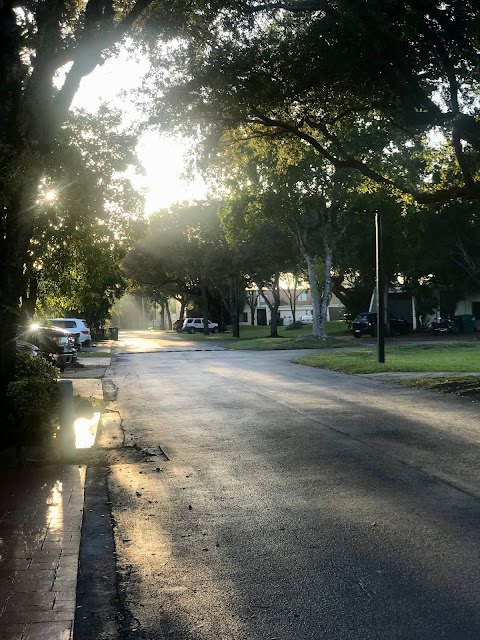 JOYOUS RETURN TO LA HABANA…. SUCH A SMOOTH JOURNEY