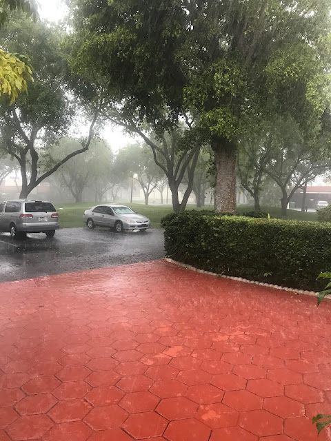 THE AFTERNOON RAIN IN THE TROPICS