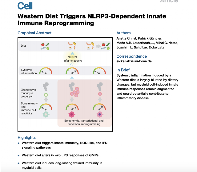 WESTERN DIET MAY CREATE A FORM OF IMMUNE DEFICIENCY ? EXCITING RESEARCH FROM GERMANY