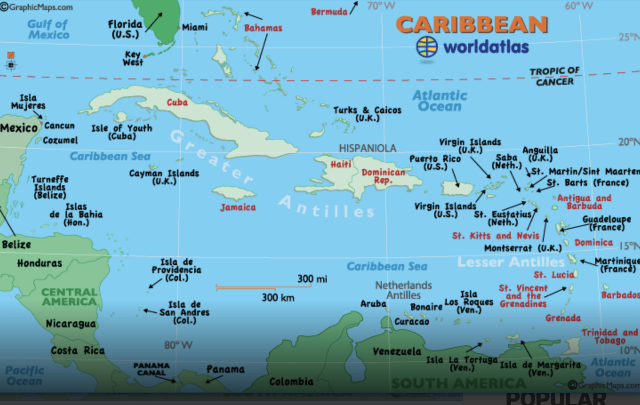 HAVE YOU READ ST.KITTS AND NEVIS OBSERVER LATELY? IT IS AVAILABLE ON LINE