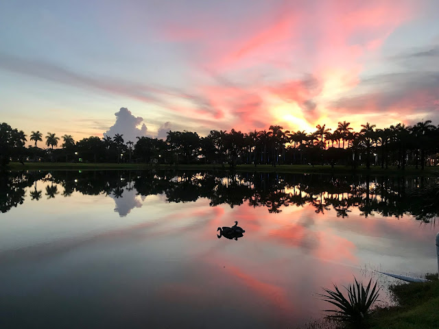 THE MORNING HAS RISEN IN MIAMI…. IT IS NICE TO WAKE UP THE SUN …