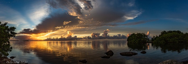 BEAUTY OF MIAMI IS NOT THE GLITTER AND GLAMOUR AND THE LATIN BLING.. BUT WHAT NATURE CAN PROVIDE .. HAVE TO LOOK FOR IT