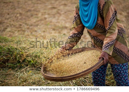 PLEASE DO NOT COME TO CAMBODIA AND TELL PEOPLE NOT TO EAT RICE… WITHOUT CONTEXT WORDS HAVE NO MEANING (MERLEAU-PONTY)