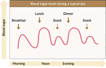 DOES BLOOD SUGAR GO UP AFTER EACH MEAL ? NOT NECESSARILY, DEPENDS UPON THE QUALITY OF FOOD AND PERHAPS THE MICROBIOME