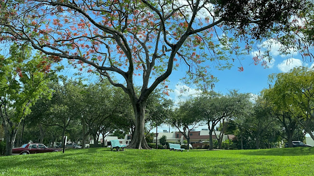 A WONDERFUL DAY IN MIAMI: WITH GRATITUDE TO ALL THAT WHICH WAS LEARNED IN THIS YEAR OF ISOLATION