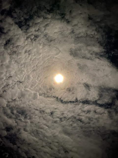 THE DAY AFTER THE FULL MOON NIGHT