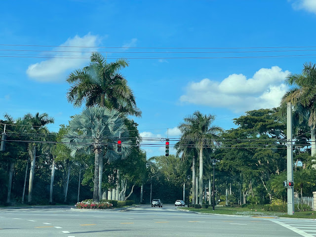 A NICE DAY OF FRIENDSHIP. SOUTH FLORIDA IN USA