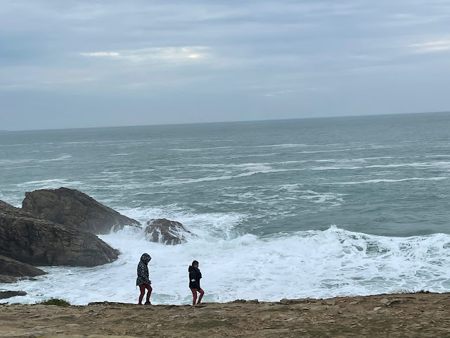 LE PETITE POETE DE CÔTE SAUVAGE