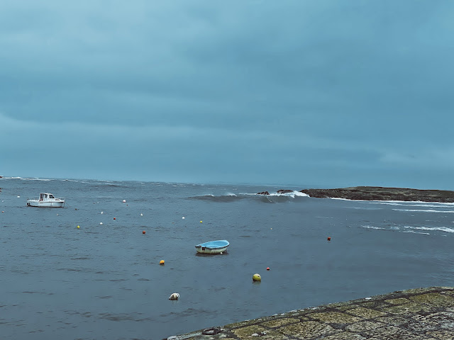 COMING BACK TO CÔTE SAUVAGE AND THE FANTASTIC SENSATION OF LIFE’S AFFECTION