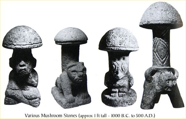 THE TIME FOR MAGIC MUSHROOMS 2000 year old knowledge being scientifically validated