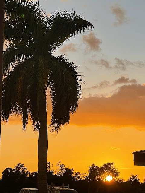 SUNSET, ROYAL PALM, THUNDER AND CHANGO. ALL IN MIAMI IN THE EVERGLADES NATIONAL PARK