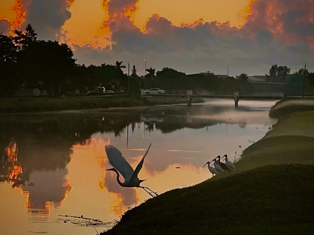 I AM GLAD I HAVE MIAMI IN BETWEEN MY TRAVELS .. always grateful to the NATIVE INDIANS