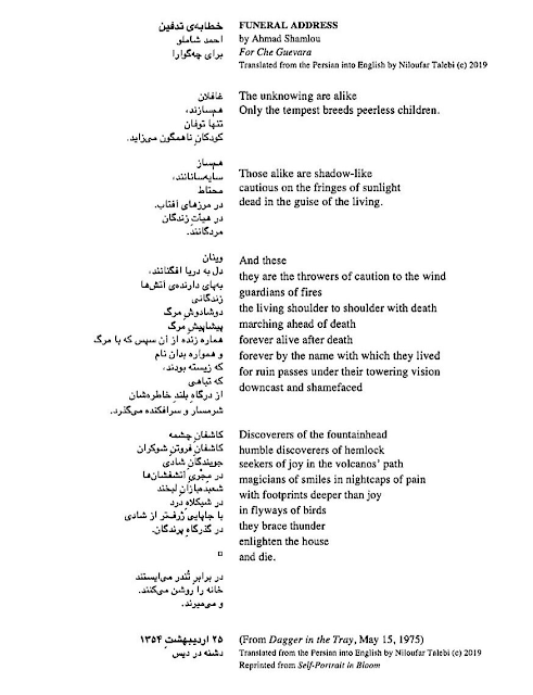 SHAMLOO WHO LINKS MANY IRANIAN HEARTS WITH MINE