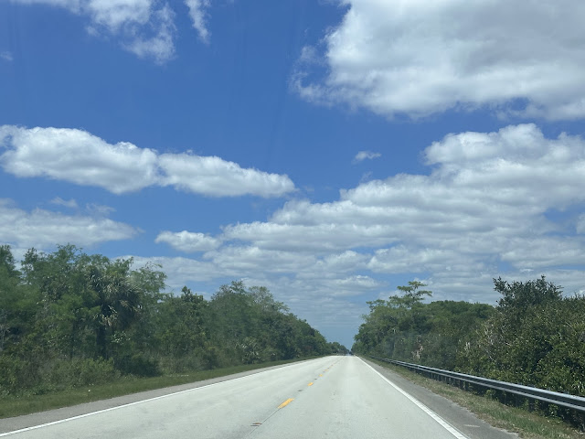 THE EVERGLADES IS WORTH SAVING