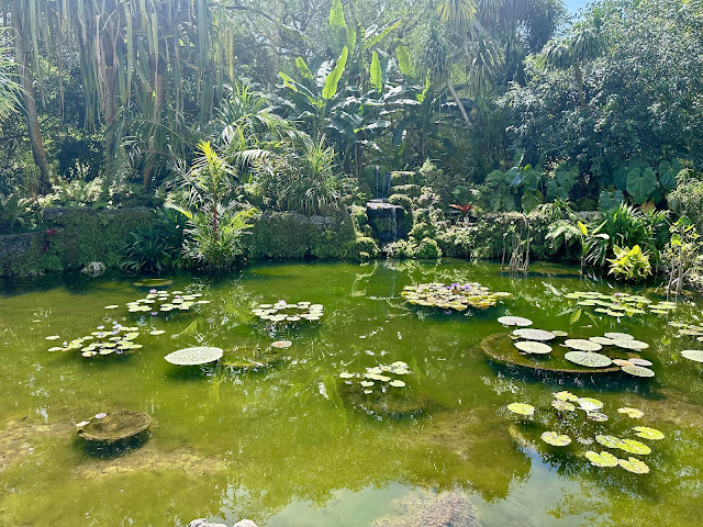 FAIRCHILD TROPICAL GARDENS THE BEST COLLECTION OF PALMS IN THE WORLD