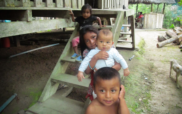Babies Without Diapers: What the Amazon Teaches Us About Care